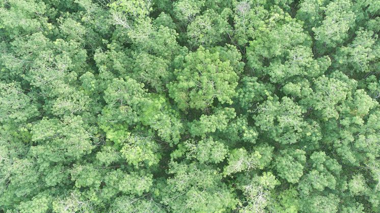 Regain ownership of your ESG reporting (Copenhagen)