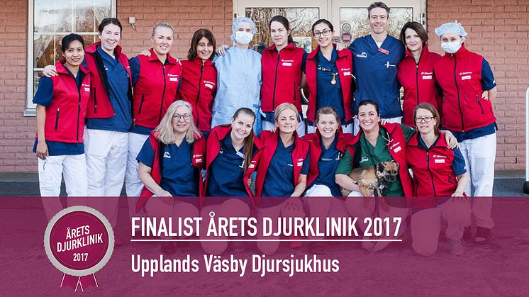 ​Upplands Väsbys Djursjukhus är finalist  i Årets Djurklinik 2017