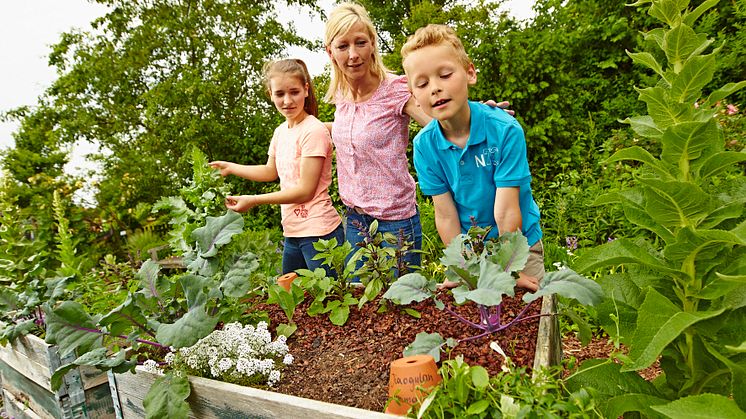 Floragard:  vegan und bio im eigenen Garten
