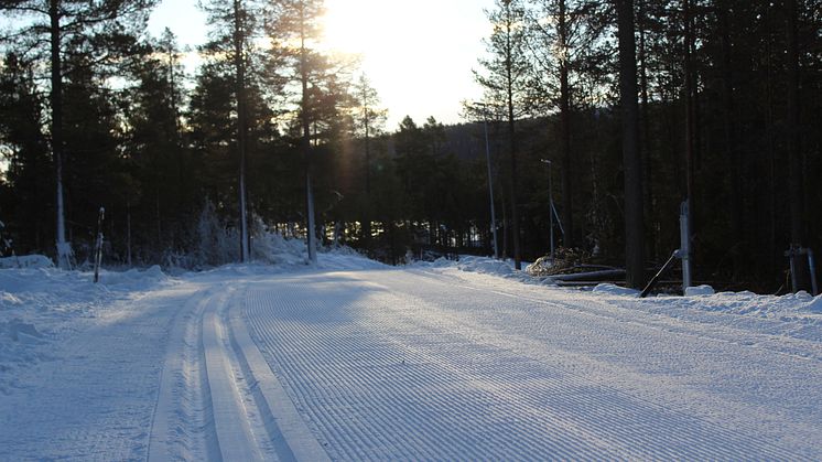 Lofsdalens konstsnöspår