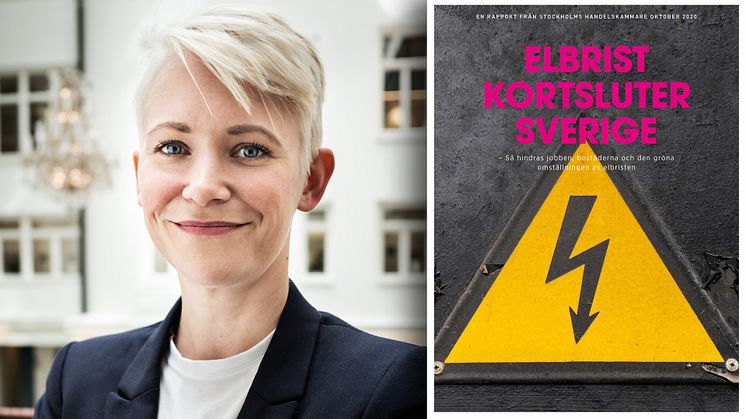 Rapporten i sin helhet bifogas som PDF.