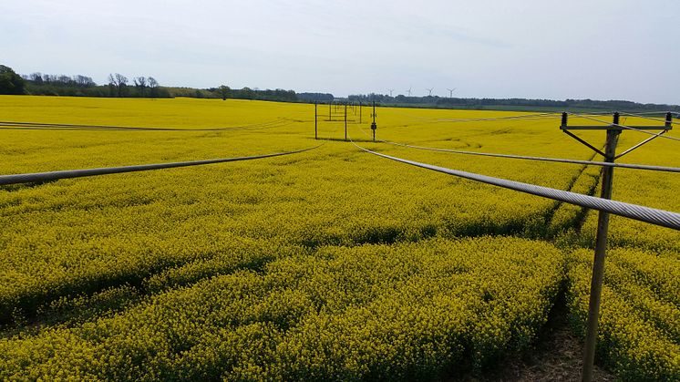 ONE Nordic arbetar för E.ON Elnät i Södra Skåne och Norra Skåne