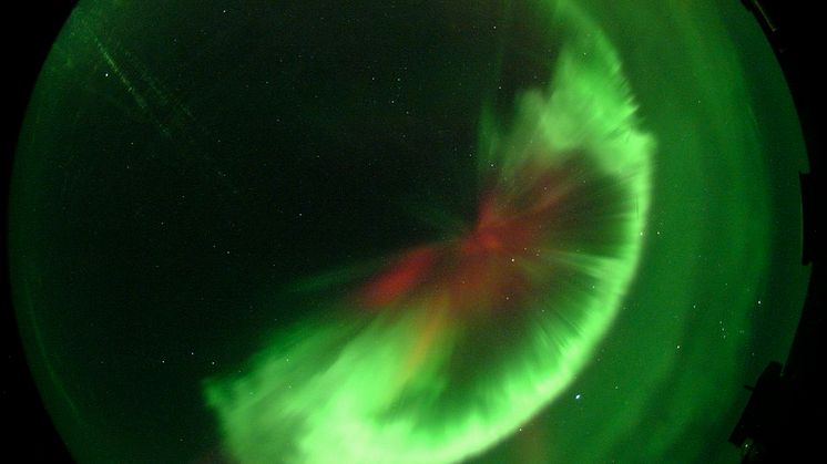 Aurora