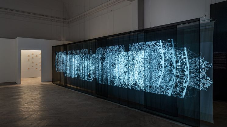Andrew Carnie, Blue Matter, 2019