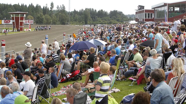 Sommartravet på Hagmyren med varmt och kallt