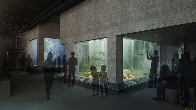 BSSC - Vy Akvarier Beskuren med Logga - KAWA Arkitektur