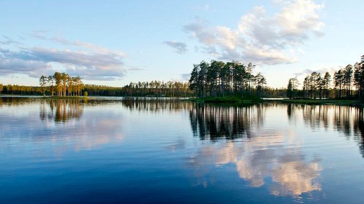 Sommarlugn på elmarknaden – mer osäkert till vintern