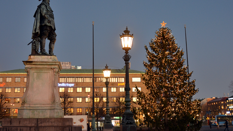 Julgranen på Gustaf Adolfs torg 2019