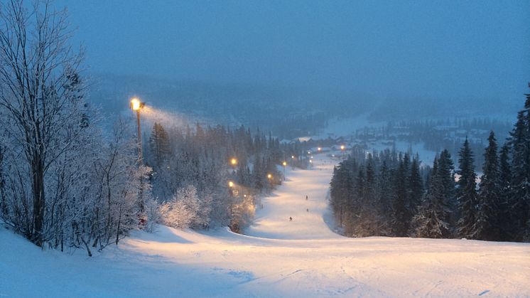 Vemdalen januari 2014