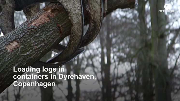 A customer story of transport and logistics of timber for Danish Hardwood
