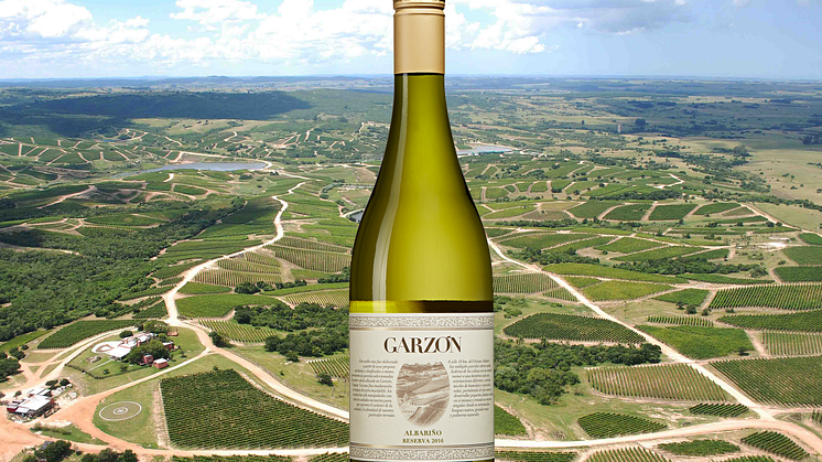 ​Unikt vitt vin från Uruguay