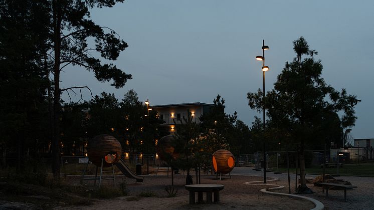 Lasse Olsson Photo-17471