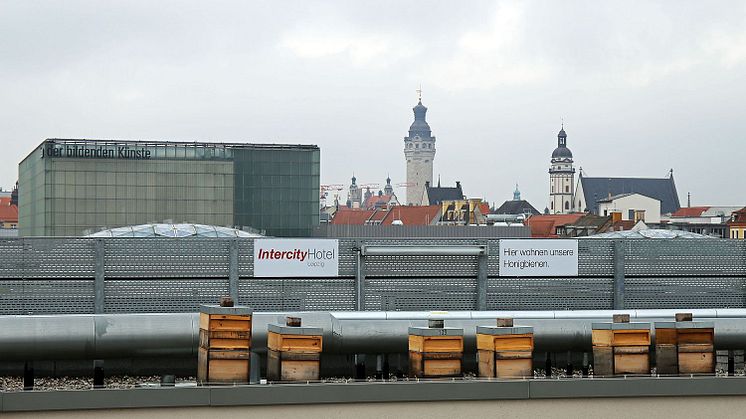 InterCity Hotel - Bienenvölker © Andreas Schmidt