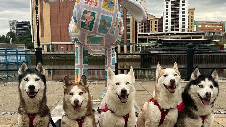 Summer Stamps with Beautiful Dogs