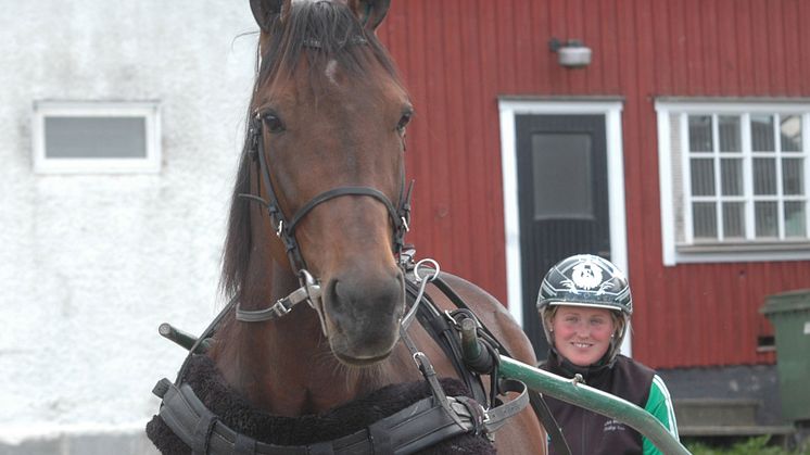 Maharajah tackas av på Elitloppet