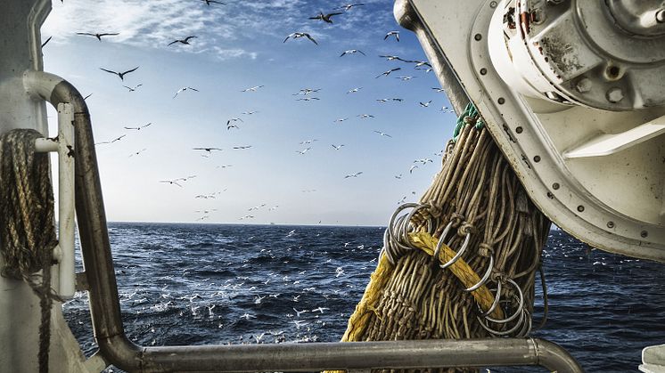 Marine Stewardship Council - Chain of Custody (MSC CoC) er den mest anerkjente internasjonale standarden for bærekraftig sjømat.