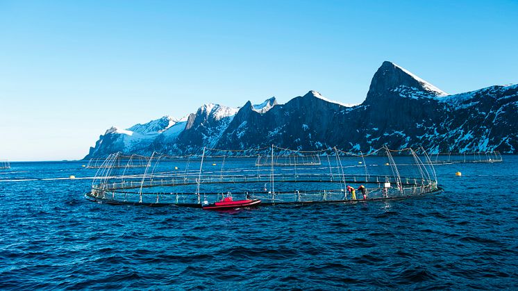 Ocean farming can help preserve global ecosystems
