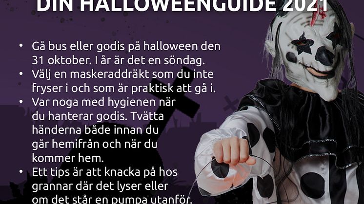 busellergodis_guide_1080x1080.jpg