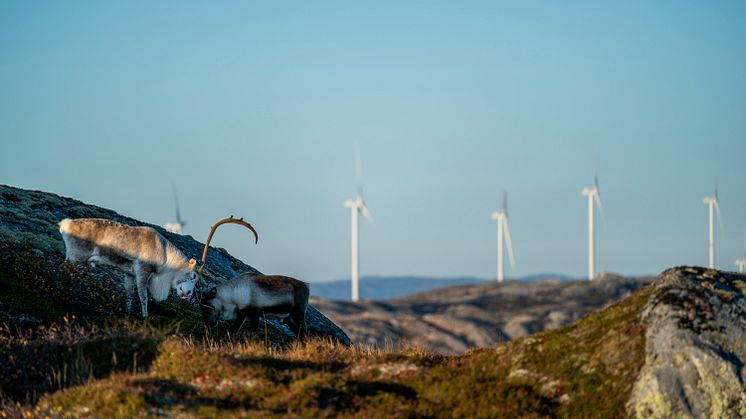 omw_Storheia-240919.40.jpg
