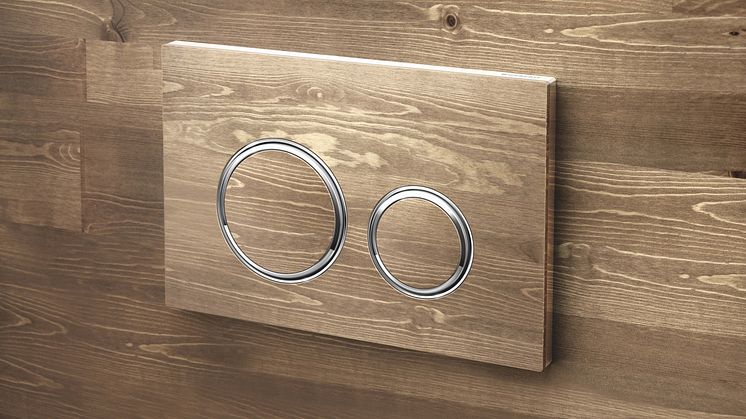 Sigma21  individual wood surface