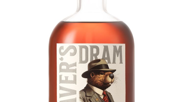 BEAVERS_DRAM_PORT_sw