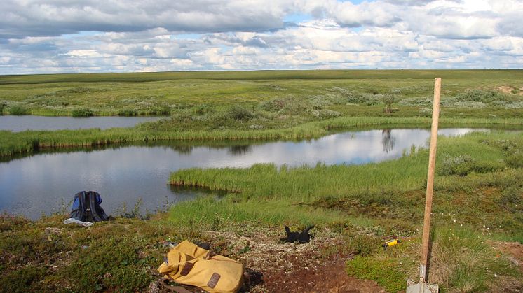 En paus under provtagning av ett våtmarkskomplex med permafrost och öppna sjöar i Seida, nordöstra delen av europeiska Ryssland. Foto: Gustaf Hugelius.