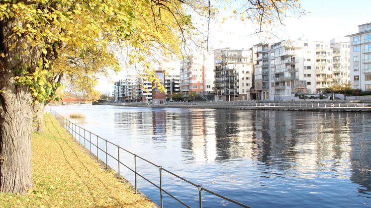 Halmstad växer som mötesdestination.