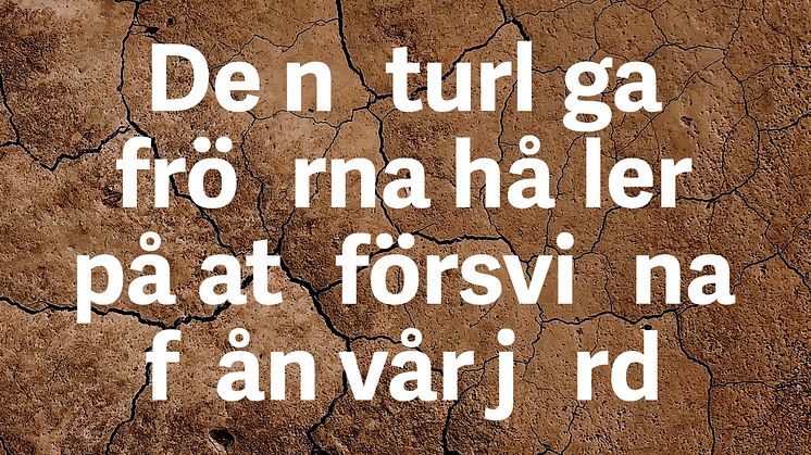 Idag lanserar vi kampanjen Rädda fröerna!