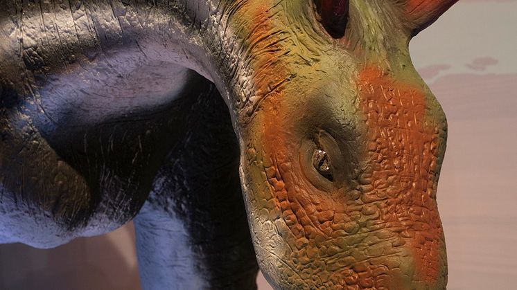 Chungkingosaurus. 