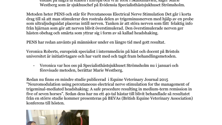 Ny behandlingsmetod mot headshaking