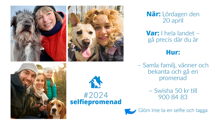 Ta en promenad på lördag och stöd alla hundars rätt till veterinärvård.