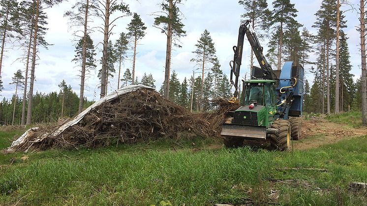Flisning av grot, dvs. hyggesrester i form av grenar och toppar. Foto: Stefan Löfgren