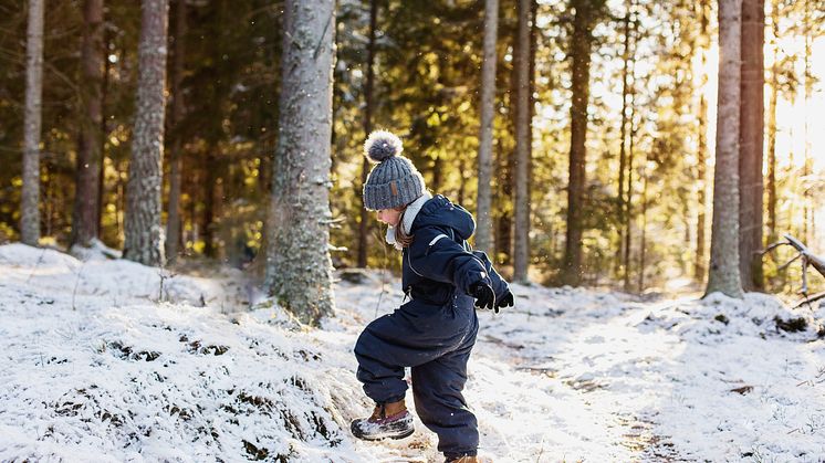 Nya lättnader i restriktionerna i den smittade zonen i Västmanland innebär bland annat att allmänheten nu får röra sig i skog och mark även i kärnområdet. Foto: Scandinav bildbyrå