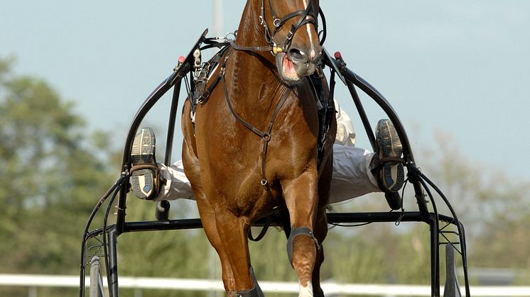 Commander Crowe startar i Elitloppet