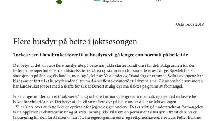 Flere husdyr på beite i jaktsesongen