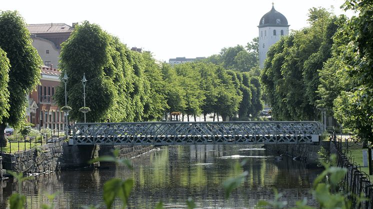 Nytt projekt ska öka kunskap om fisken i Bäveån