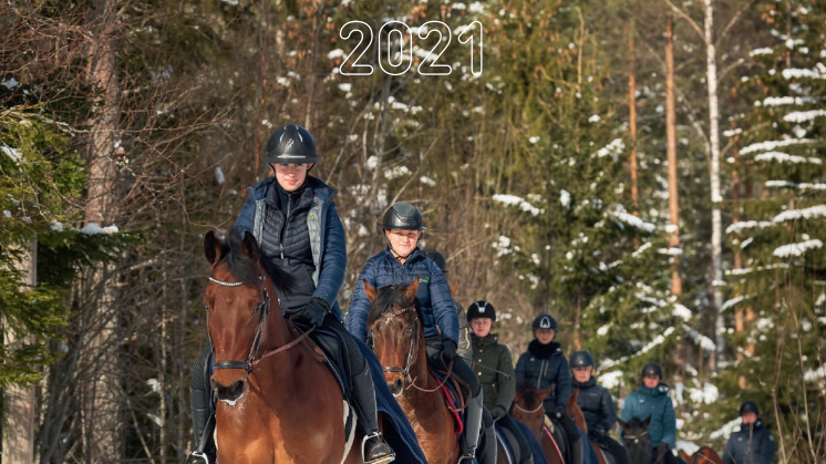 NFO_Arsredovisning_2021.pdf