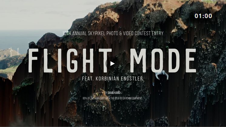 FLIGHT MODE_David Karg.jpg