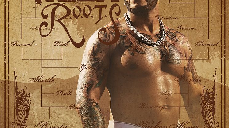 Flo Rida - R.O.O.T.S. albumkonvolut