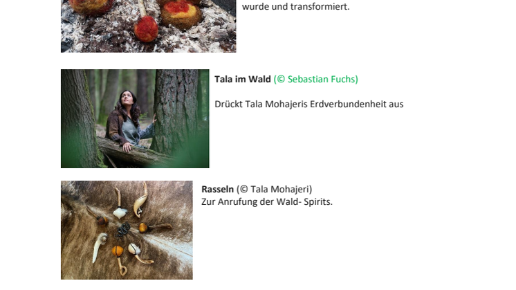 Mohajeri_Fotoübersicht.pdf