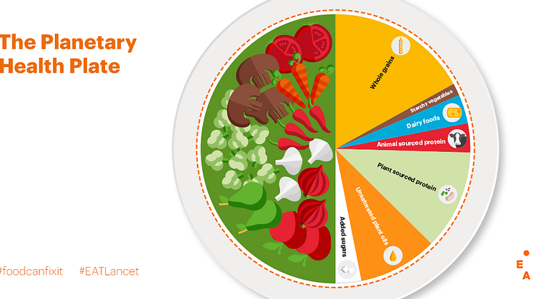 EAT–Lancet rapporten: Ett angeläget inlägg i hälso- och klimatfrågan