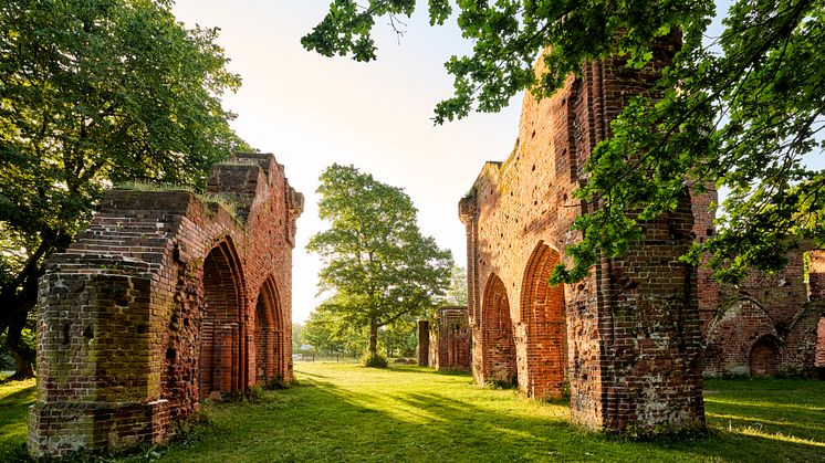 Greifswald_Klosterruine_Eldena