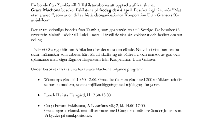 Spännande möte mellan Eskilstuna och afrikansk mat