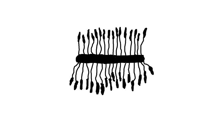 Illustration-almsjuka.jpg