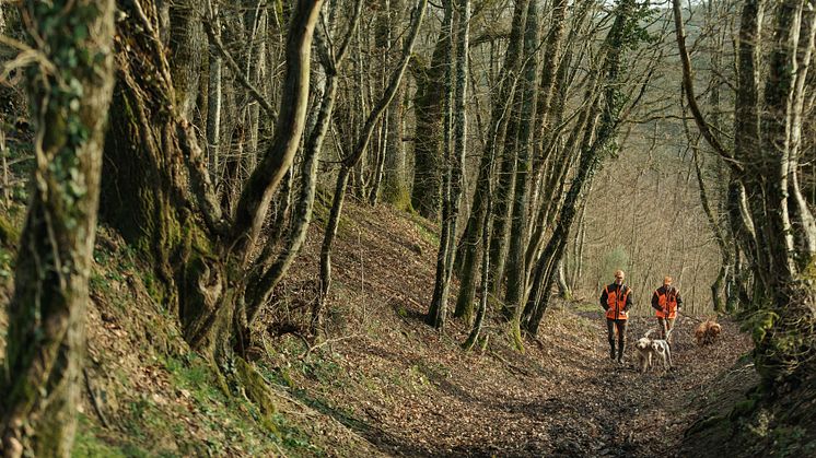 Garmin Hundegerät K 5X