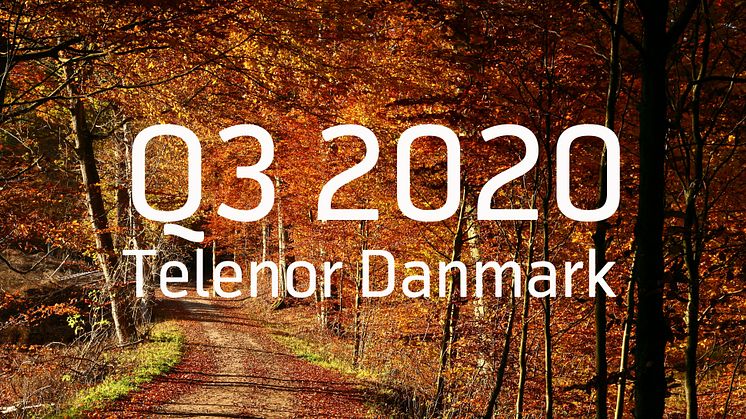 Telenor Danmark leverer fortsat kundefremgang