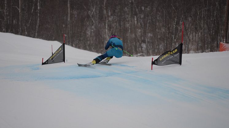 Skicross i Hemavan
