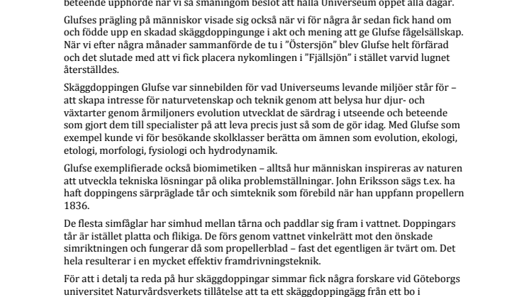 Nekrolog över Glufse