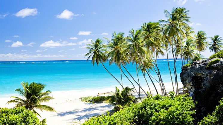 5 Amazing Sun Cruise Destinations