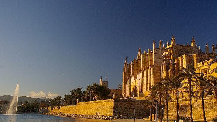 7 måsten i Palma!